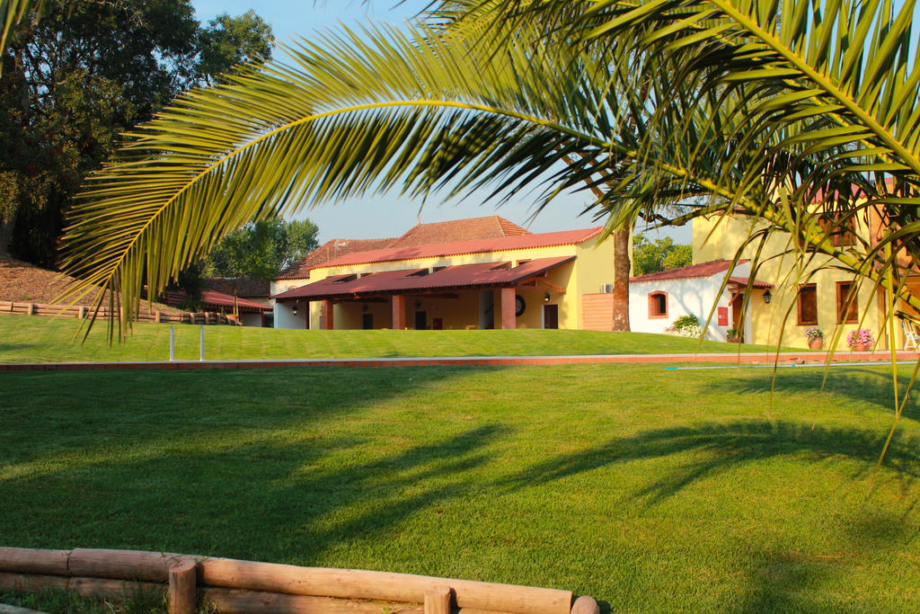 Quinta De Lograssol Vila Mealhada Exterior foto