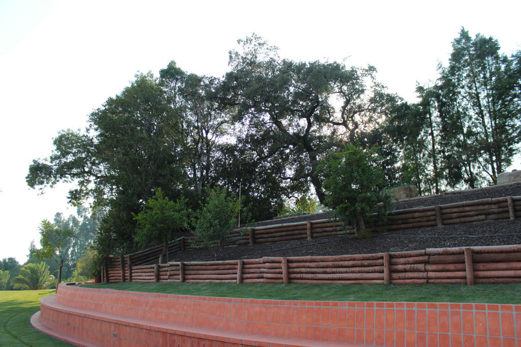 Quinta De Lograssol Vila Mealhada Exterior foto